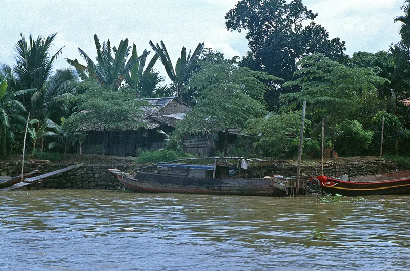 Những chiếc thuyền gỗ đậu bên bờ sông đầy bùn, xung quanh là cây dừa và một căn nhà lá ở Đồng bằng sông Cửu Long.