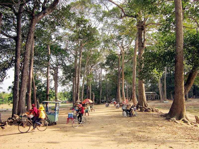 Người đi xe đạp và người bán hàng tụ tập dưới bóng cây cao ở Ao Bà Om, Trà Vinh.